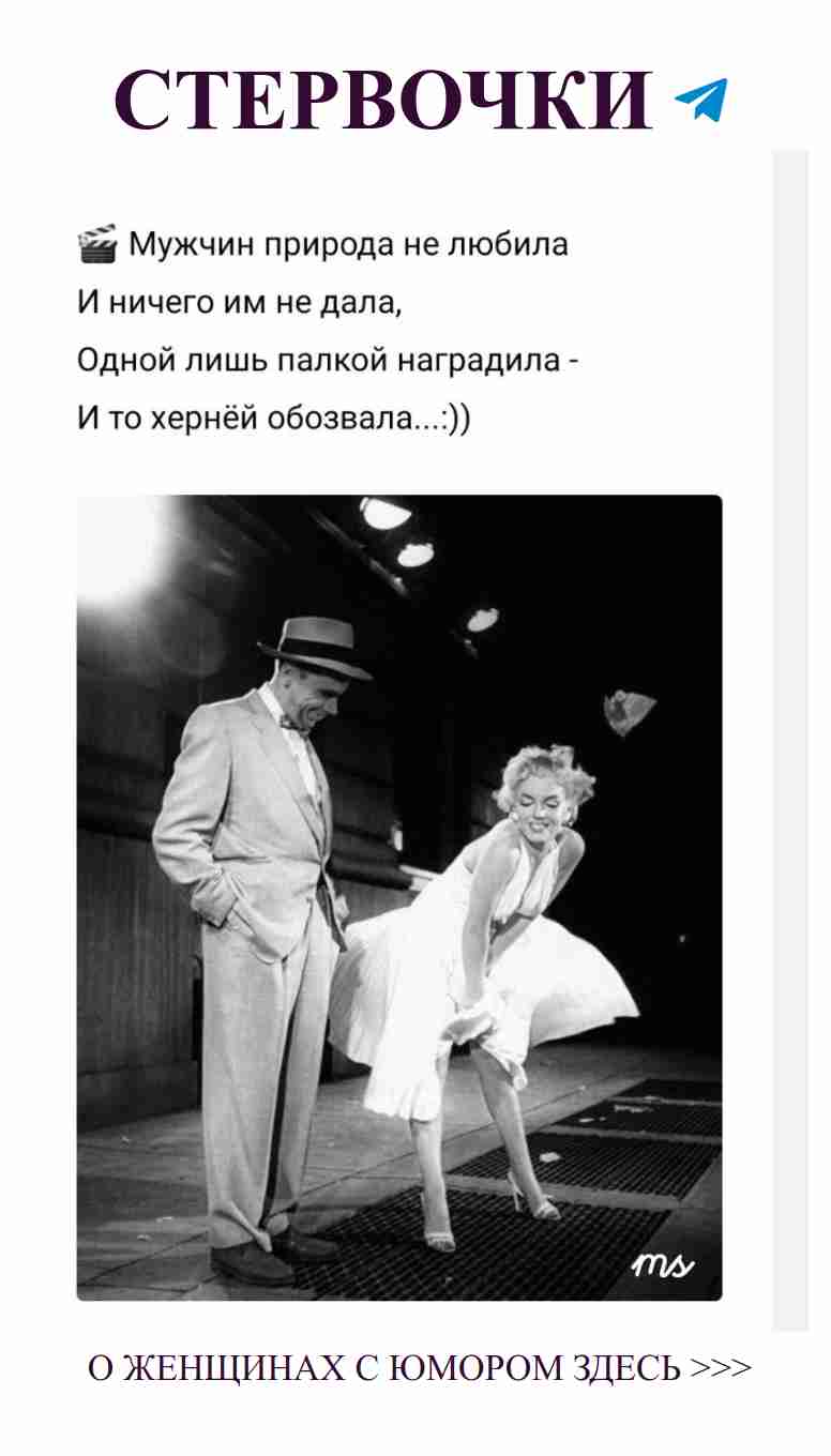 Когда он не понимает, что хочешь ты, но выглядит мило