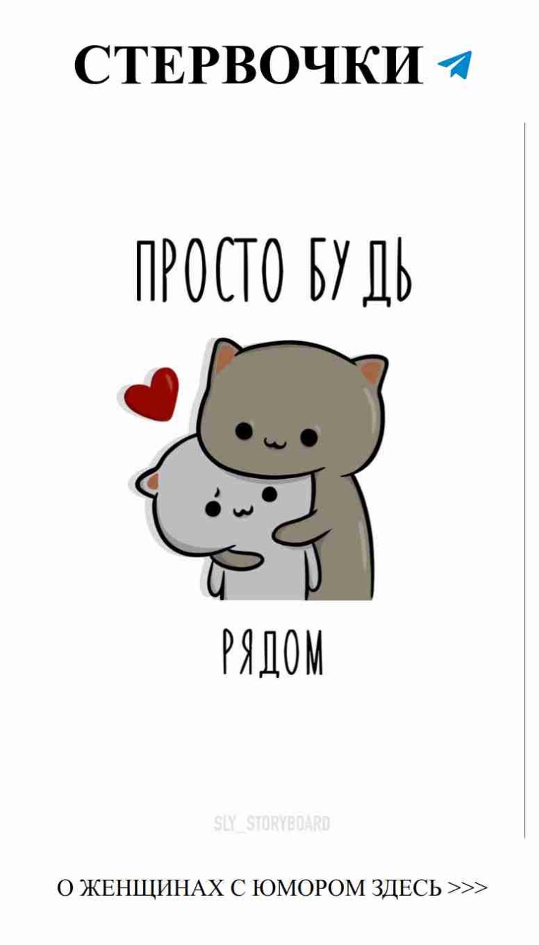 Милые котята, которые дарят любовь и смех