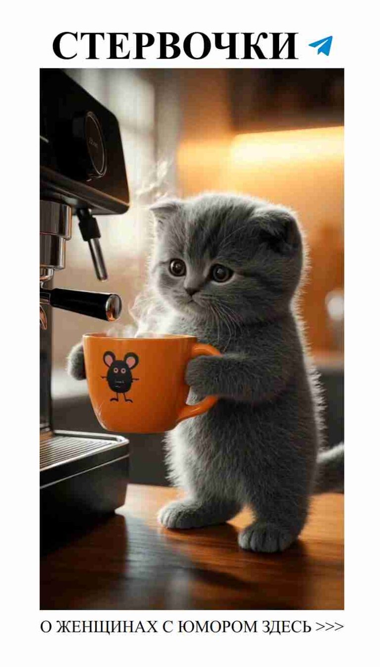 Утренний кофе с котёнком: когда любовь и юмор в одном флаконе