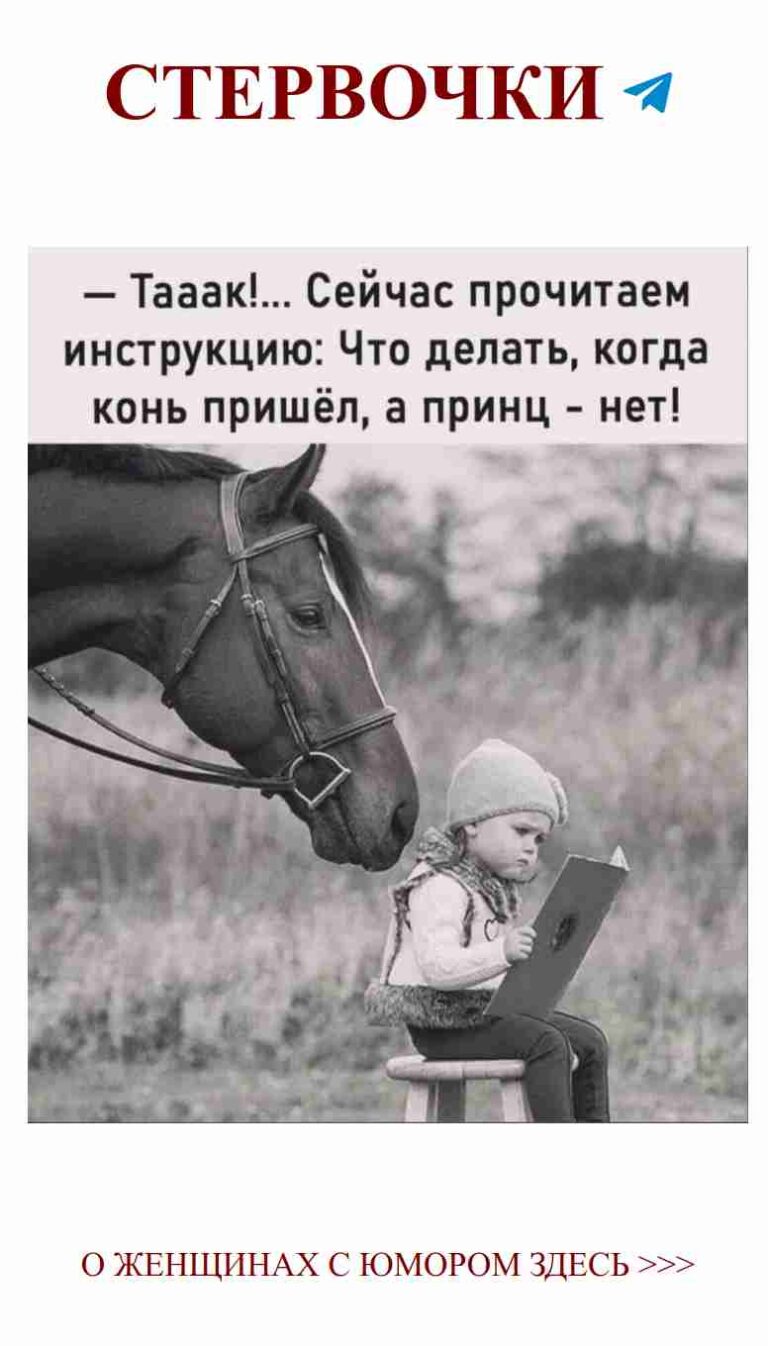 Смех и любовь: как большие кони покоряют женские сердца