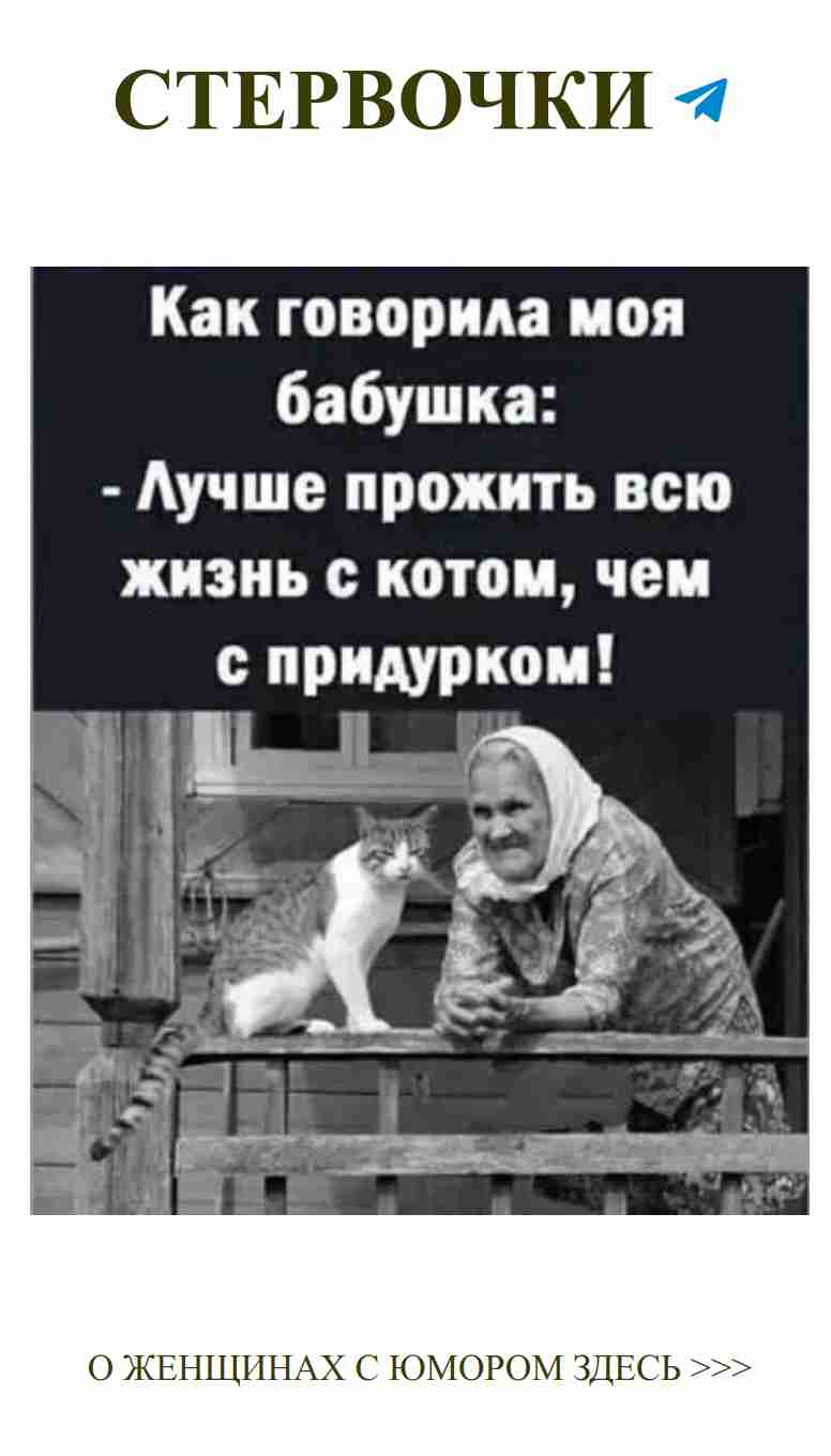 Смешные животные и любовь к ним на пенсионерском пати