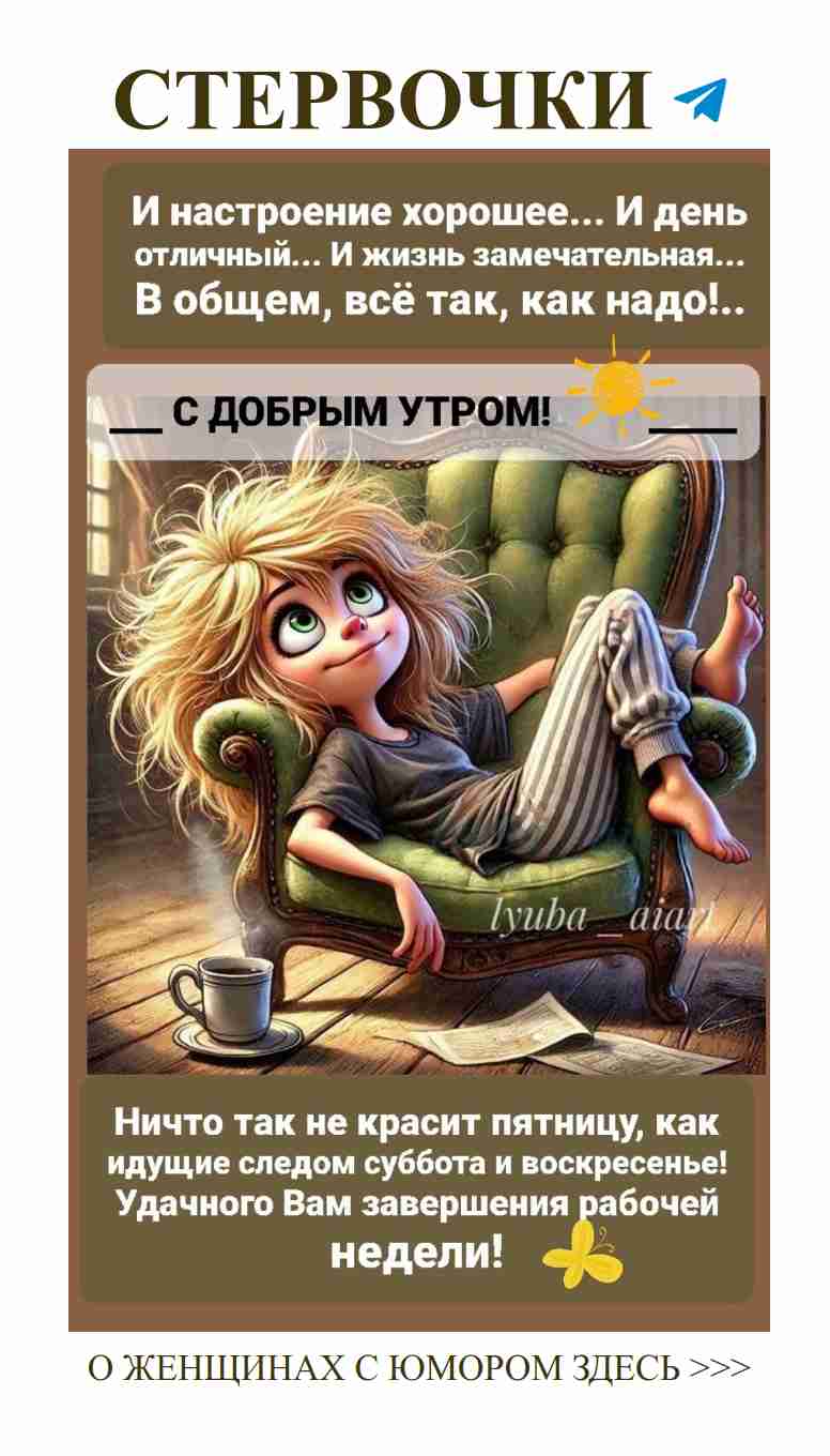 Женская мудрость: как выбрать идеальный стул для дома