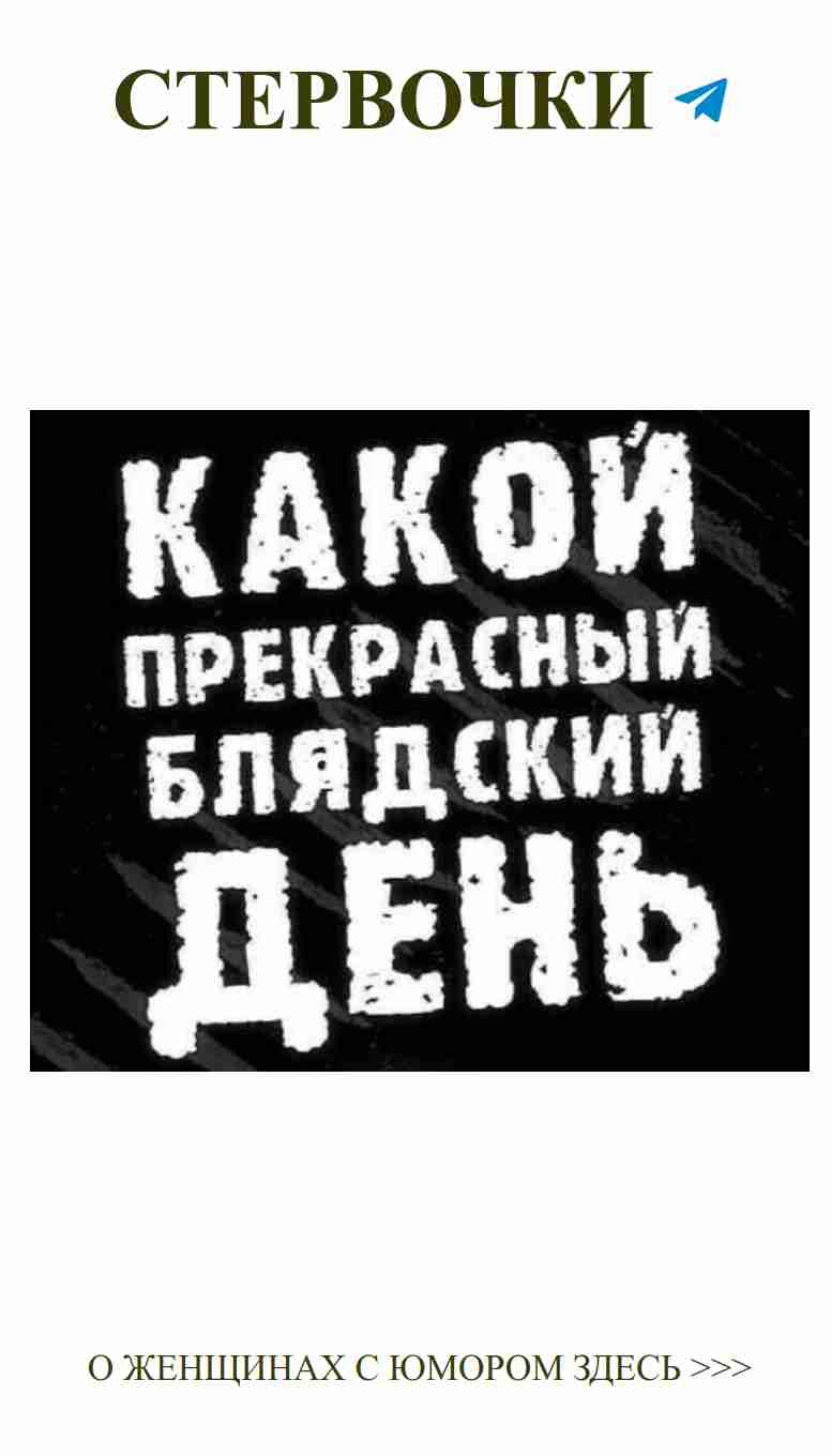 Смешные цитаты о любви и жизни для девушек