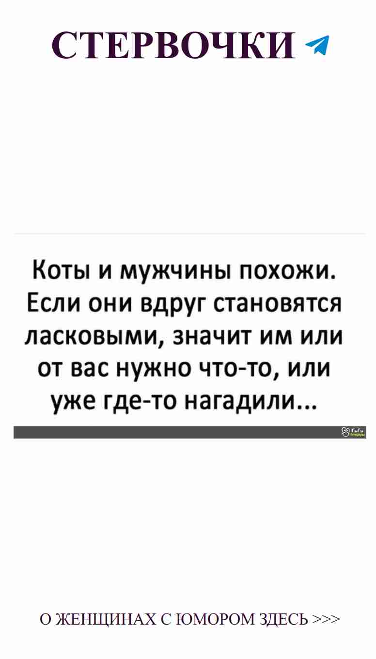 Юмор о любви: Найти ответы на загадки о чувствах