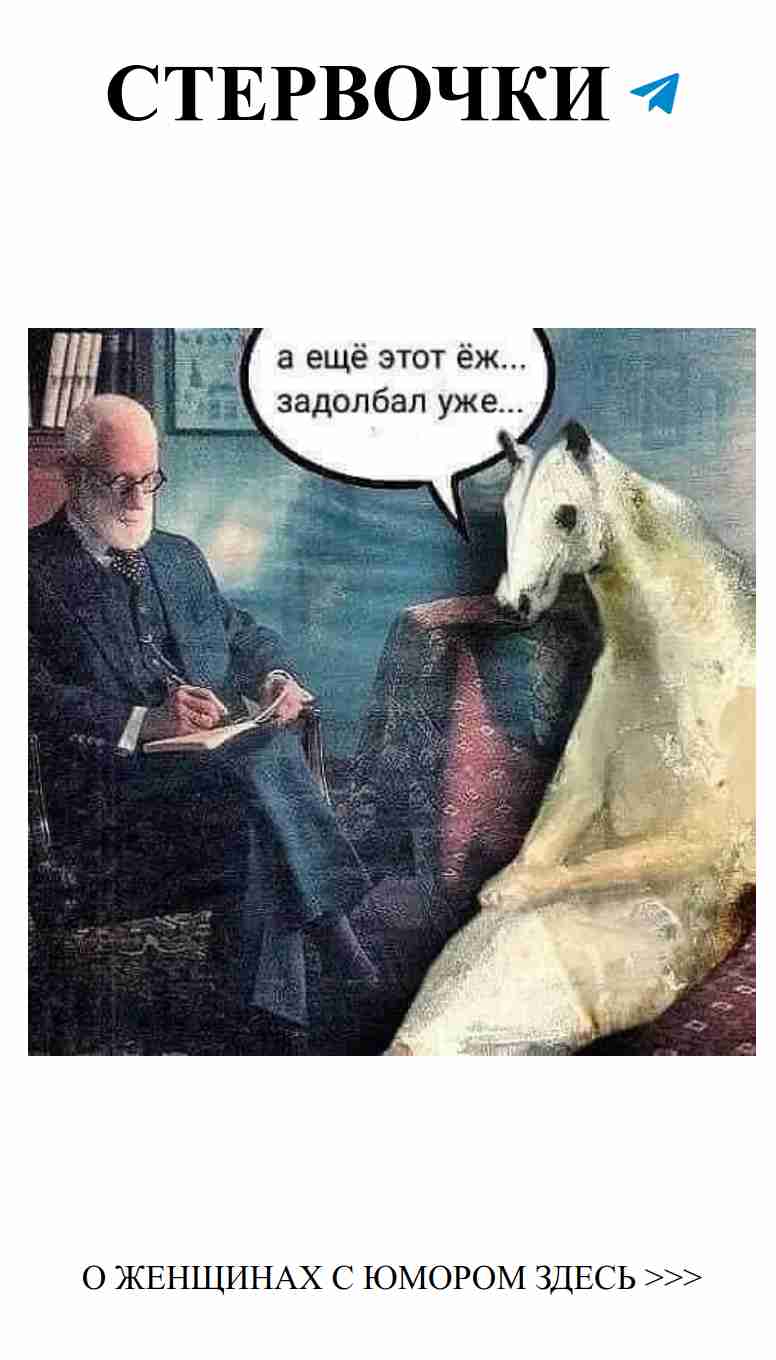 Когда твоя любовь сильнее, чем страх перед белыми медведями