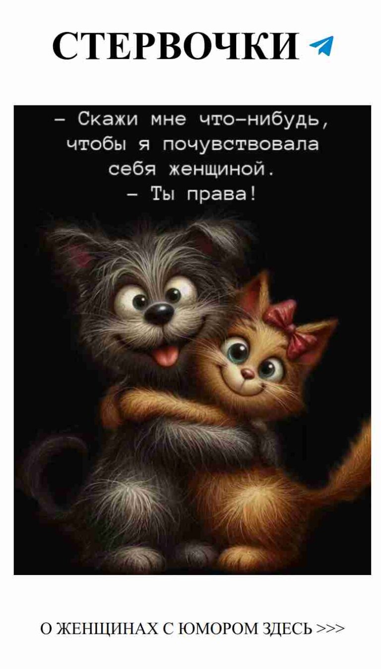 Когда коты сердятся, а собака пытается наладить мир!