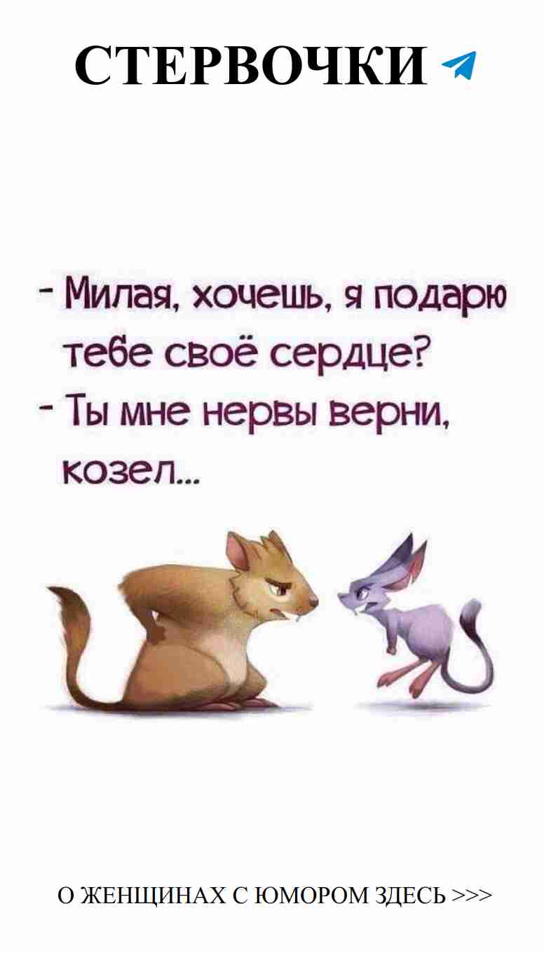 Когда любовь спорит с юмором женских кошек