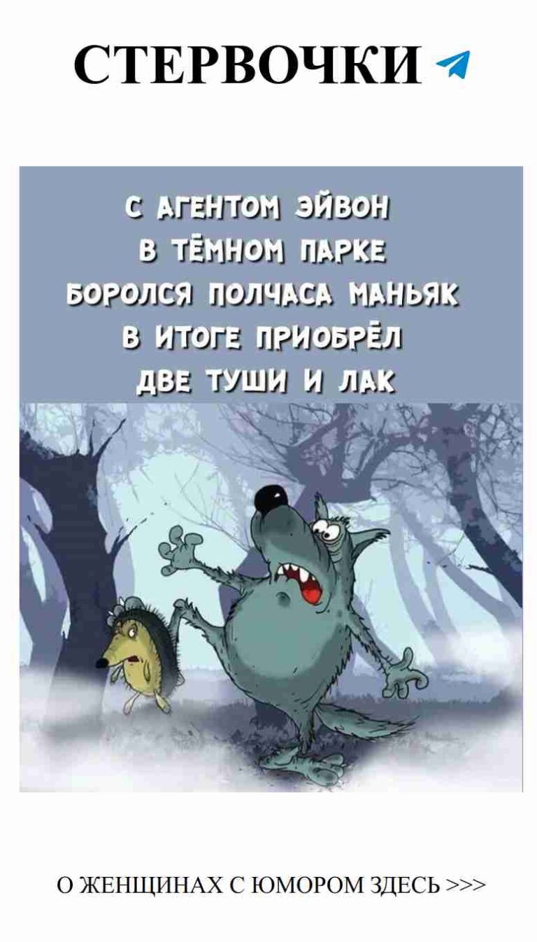 Веселые ежи о любви и юморе для женщин