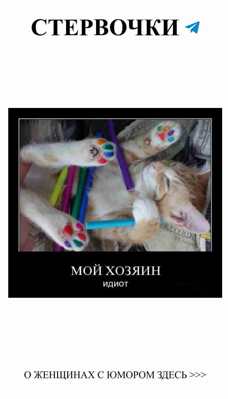 Два котенка творят чудеса с цветными карандашами