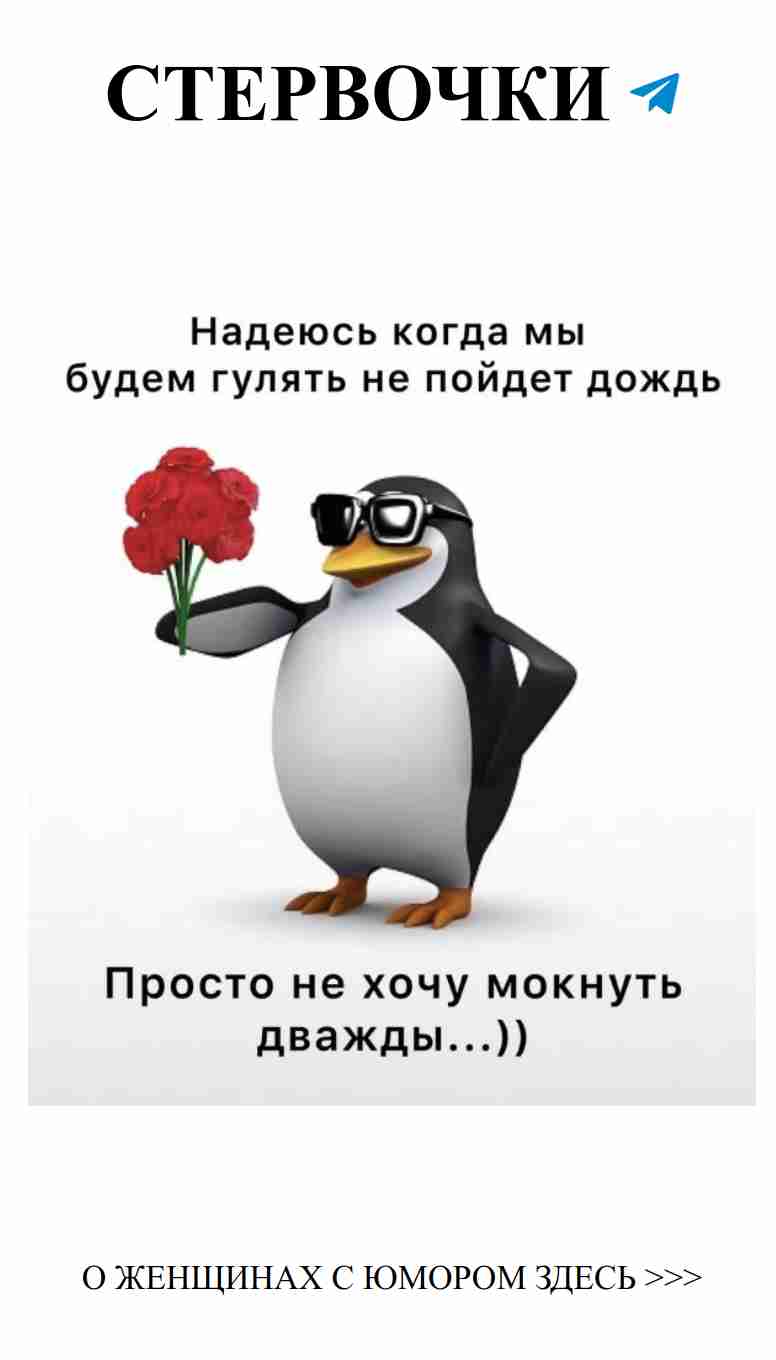 Пингвин в очках с цветком: юмор о любви