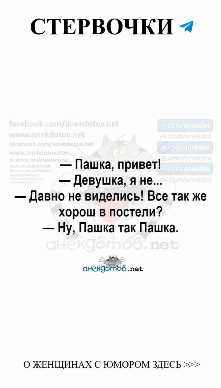 Любовь и смех: котики, которые спасают от грусти