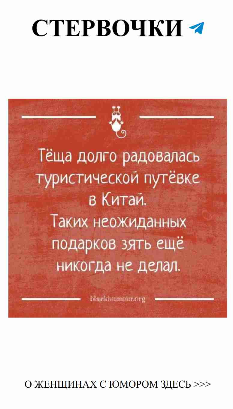 Знак с котом и белым текстом о любви и смешных ситуациях