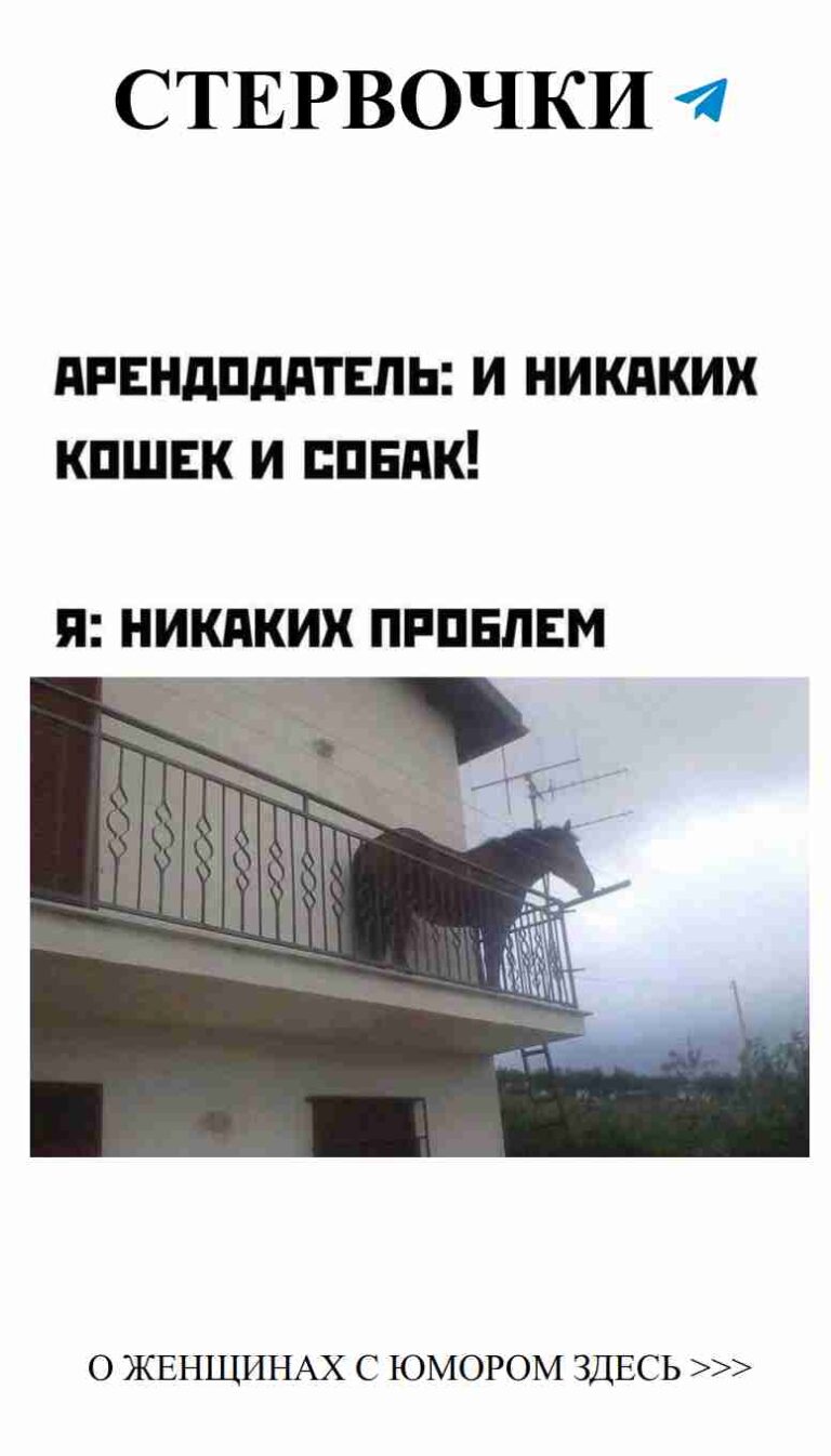 Лошадь на балконе: удивительный взгляд на любовь и юмор