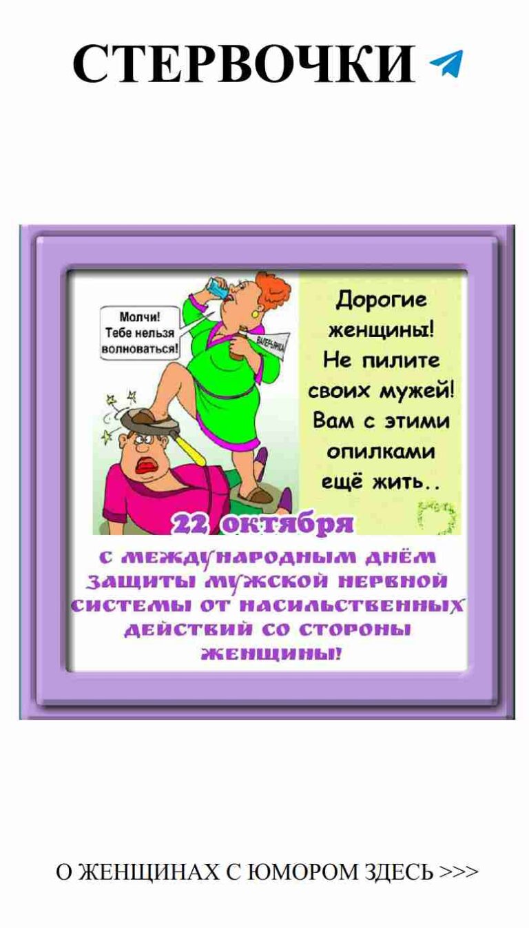 Любовь Зельды: Мода и юмор для женщин в мультфильмах