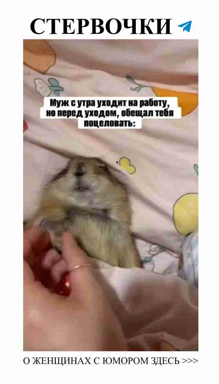 Когда любовь и пушистики делают жизнь ярче