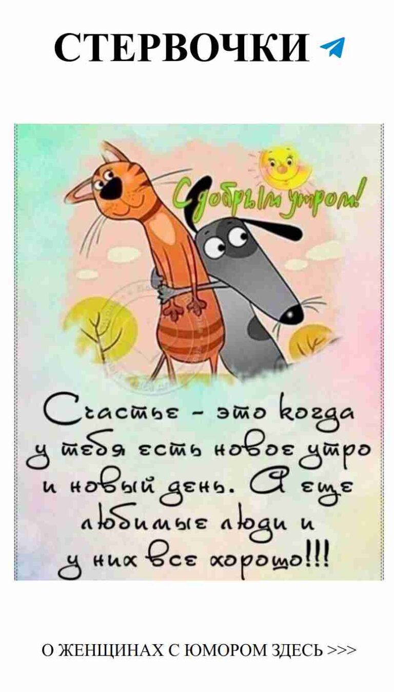 Коты и собака: смешные моменты о любви и дружбе