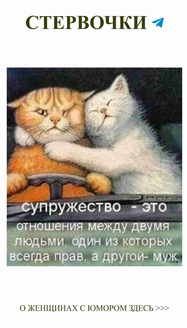 Коты и любовь: когда он рядом, все становится лучше