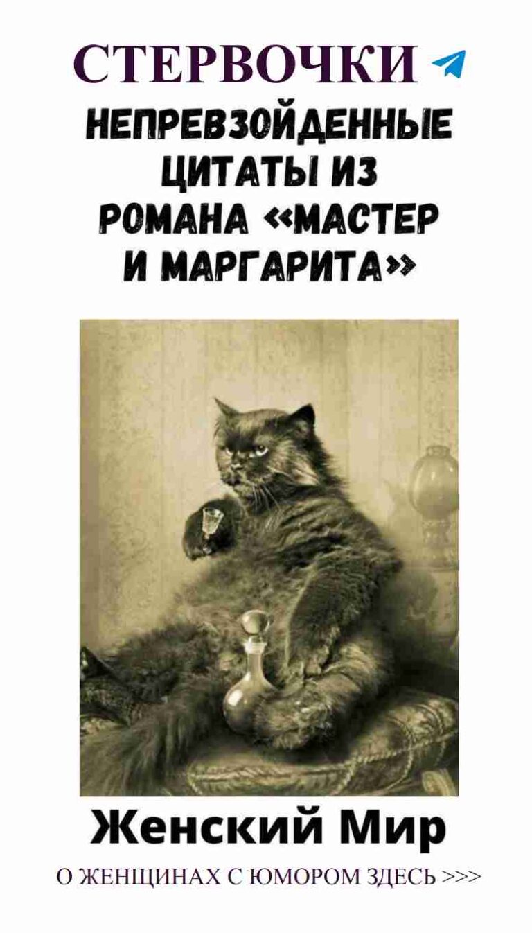 Приглашаем на живое обсуждение: юмор о любви и животным