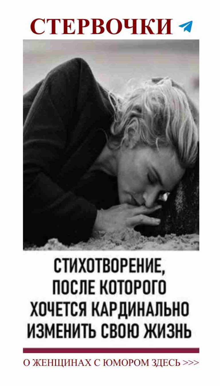 Когда любовь кажется грузом, вспомни о котах!