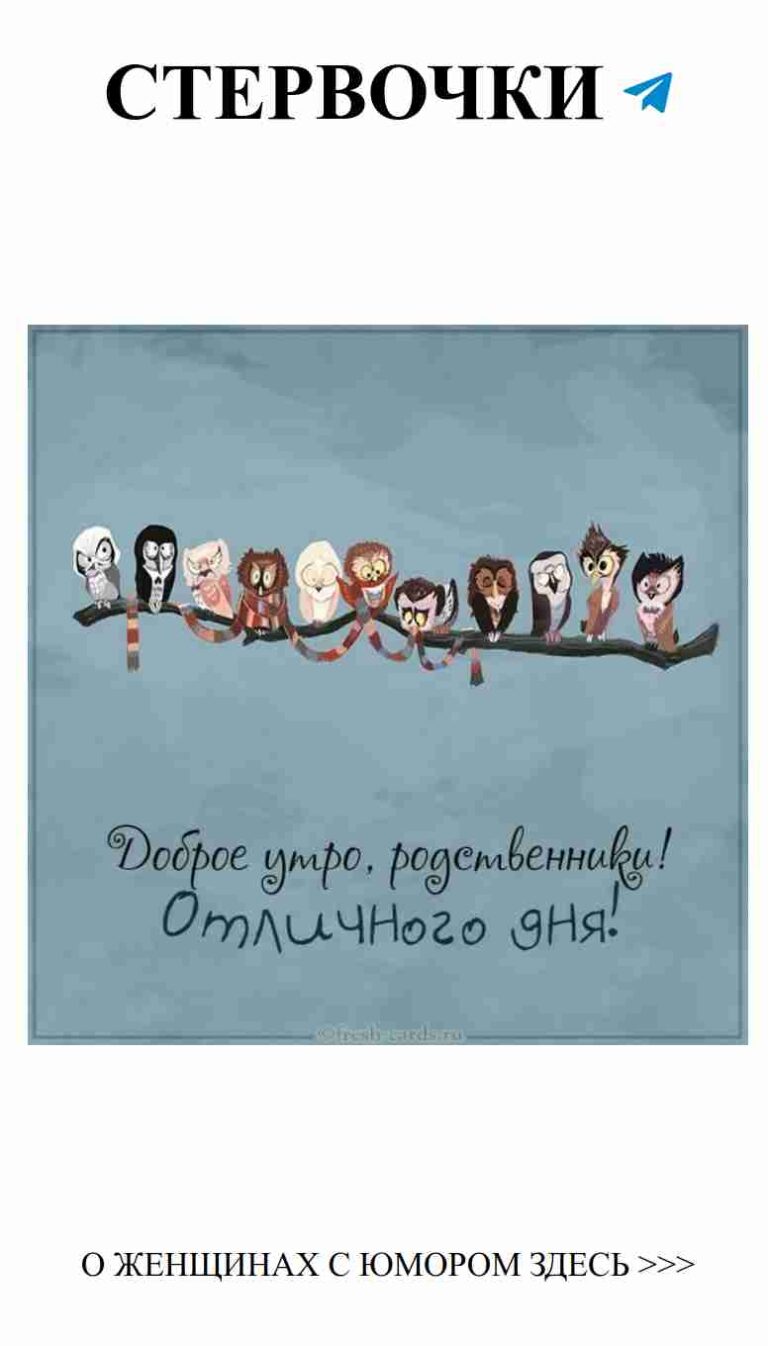 Очаровательные совы: веселые обои для романтического настроения