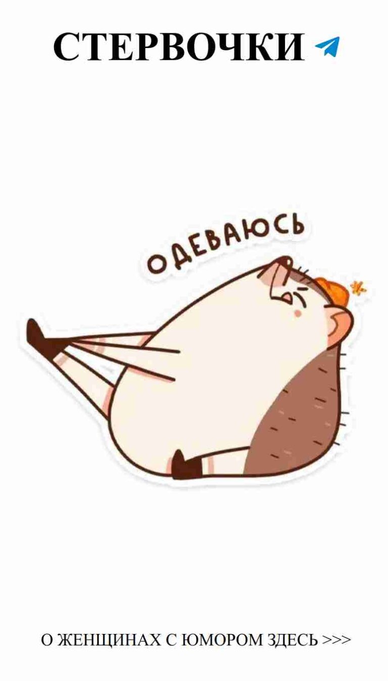 Любовь в каждом штампике весёлых зверят