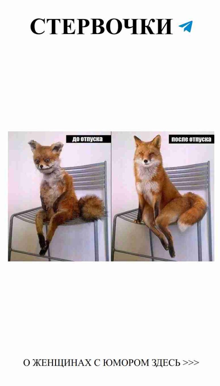 Когда твой любимый забирает твоё место на диване