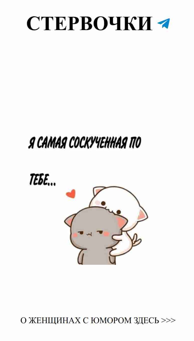 Смешные коты о любви: котики и забавные мысли