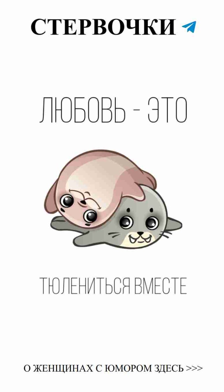 Когда любовь закаляет, даже кот с собакой не могут устоять