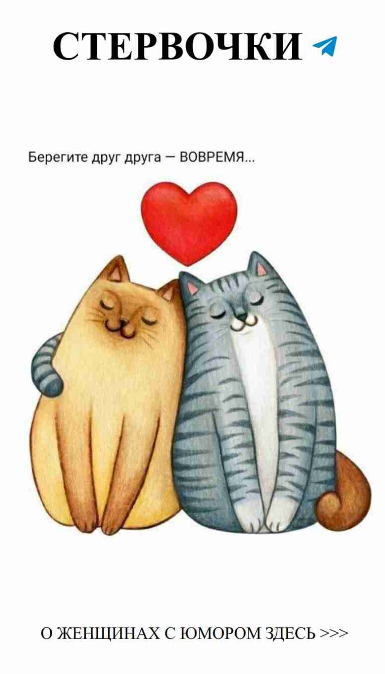 Коты в любви: теплота и уют в каждой улыбке