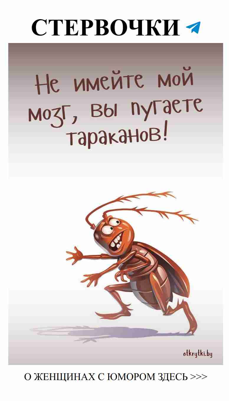 Не стоит принимать его слова всерьез, смейся, люби!