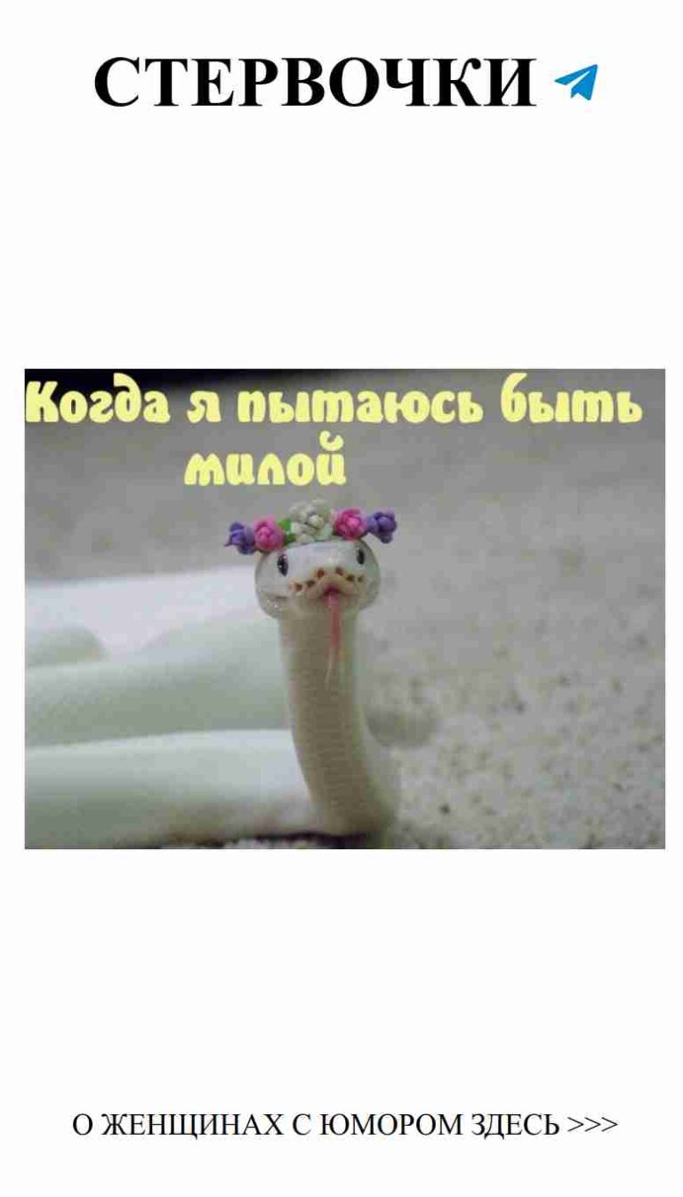 Змейка с цветами: любовь и смех, которые нас объединяют