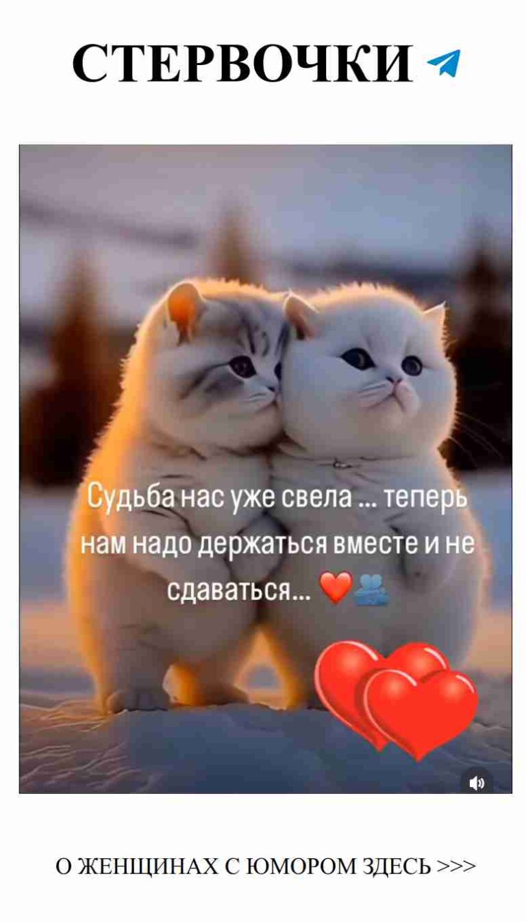 Две белые кошки в снегу: любовь, согревающая сердца