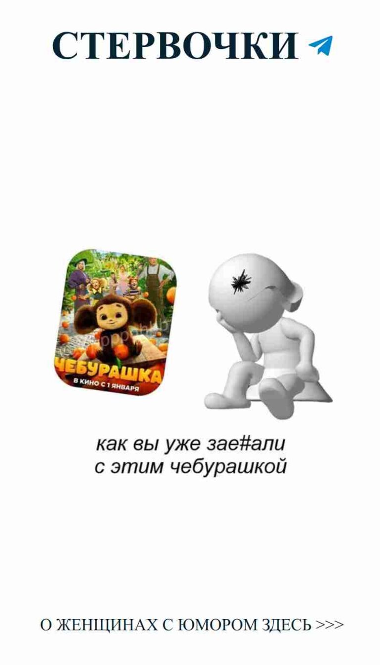 Когда любовь встречает юмор: забавные моменты с медведем