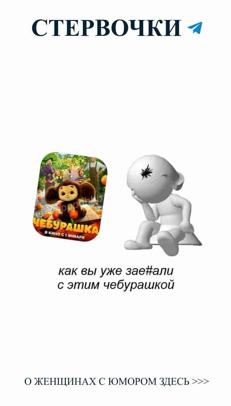 Когда любовь встречает юмор: забавные моменты с медведем