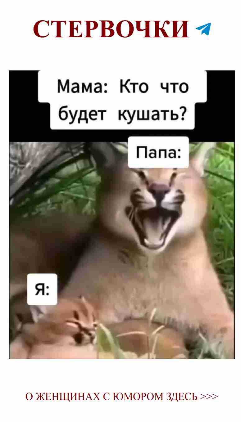 Друзья навсегда: смешные моменты с милыми животными