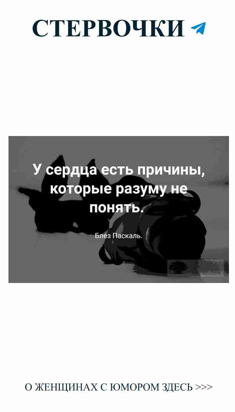 Любовь – это не шутка, но иногда стоит посмеяться