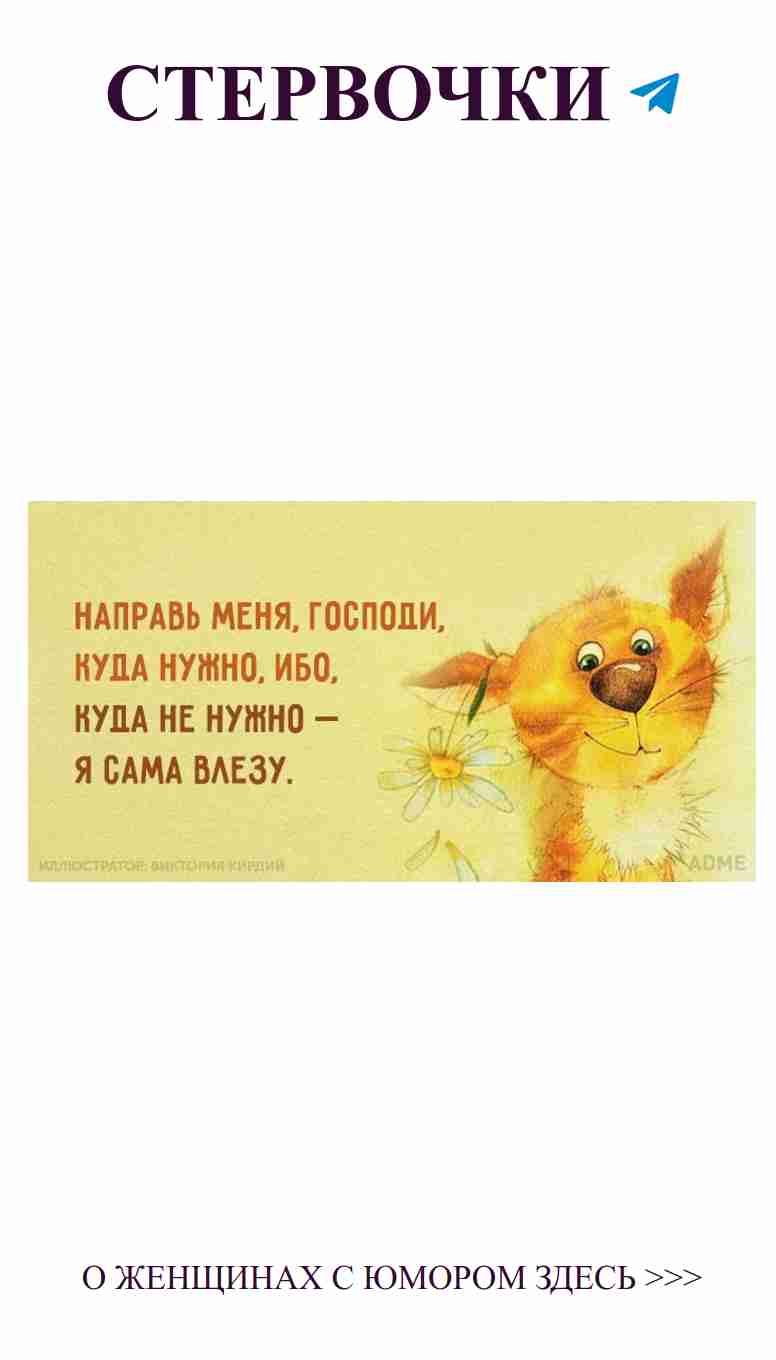 Кошки и цветы: смешные моменты о любви