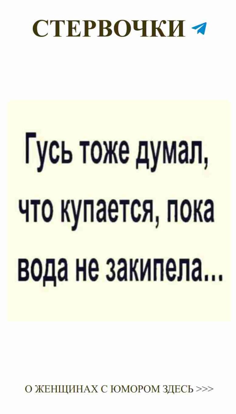 Смешные цитаты о любви, которые поднимут настроение