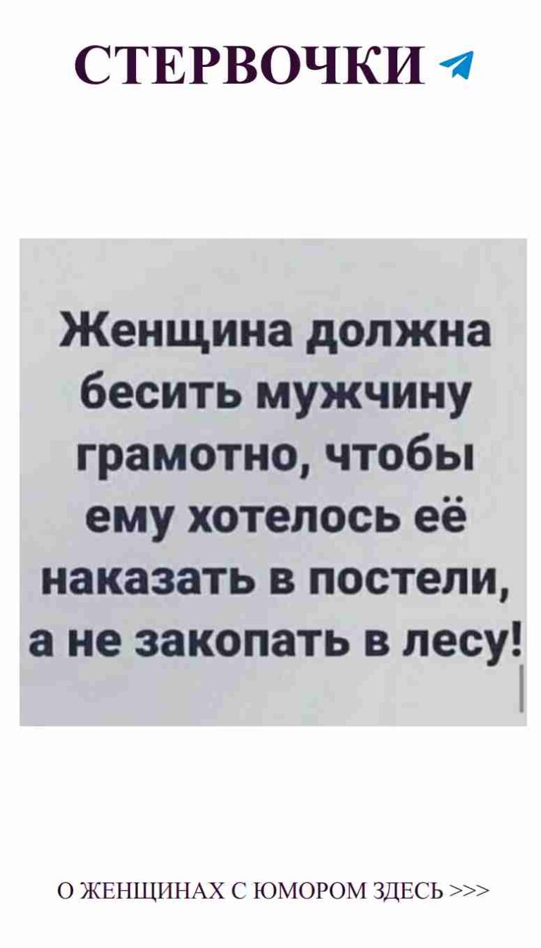 Любовь с юмором: жизнь юриста в шутках