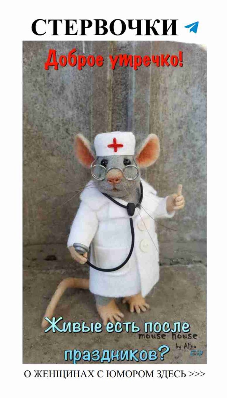 Смешная мышка в докторском костюме одобряет любовь