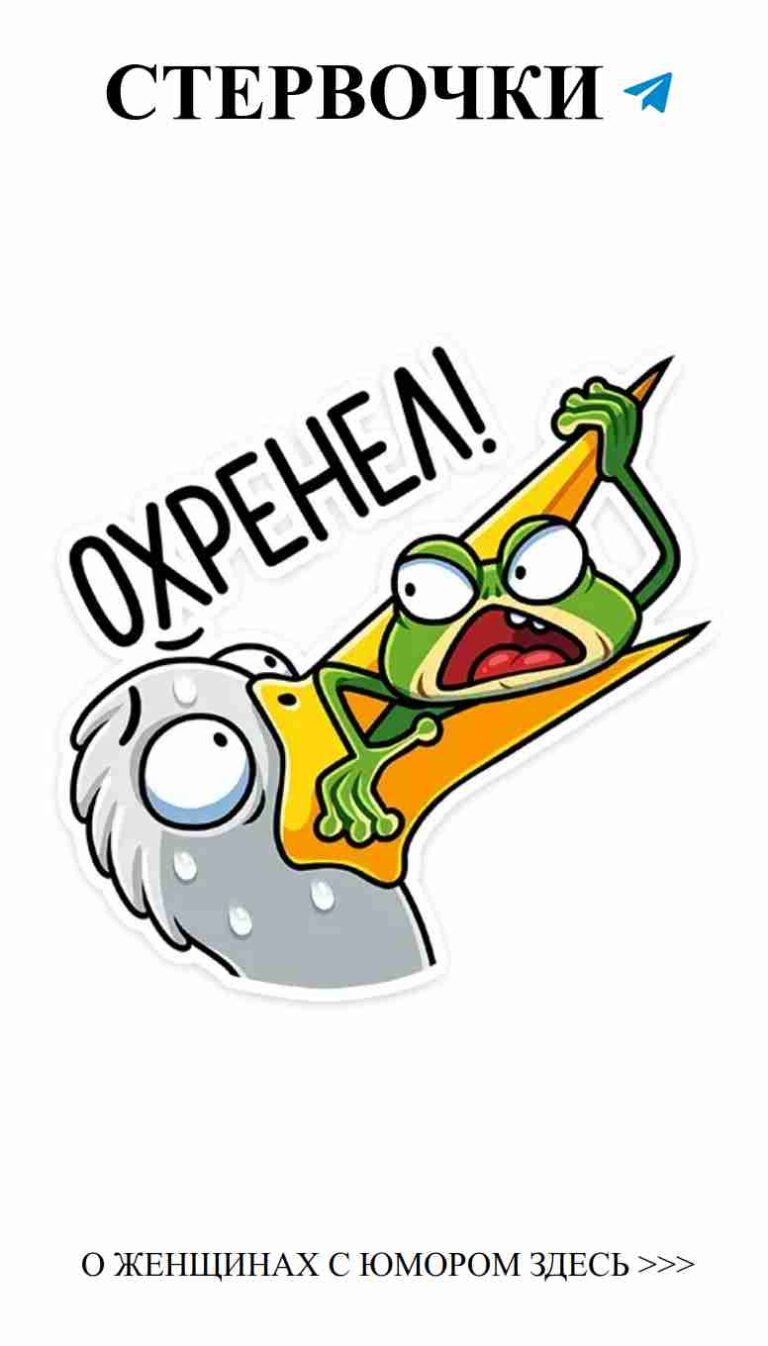 Любовь и юмор: стикеры Pusheen для веселых моментов