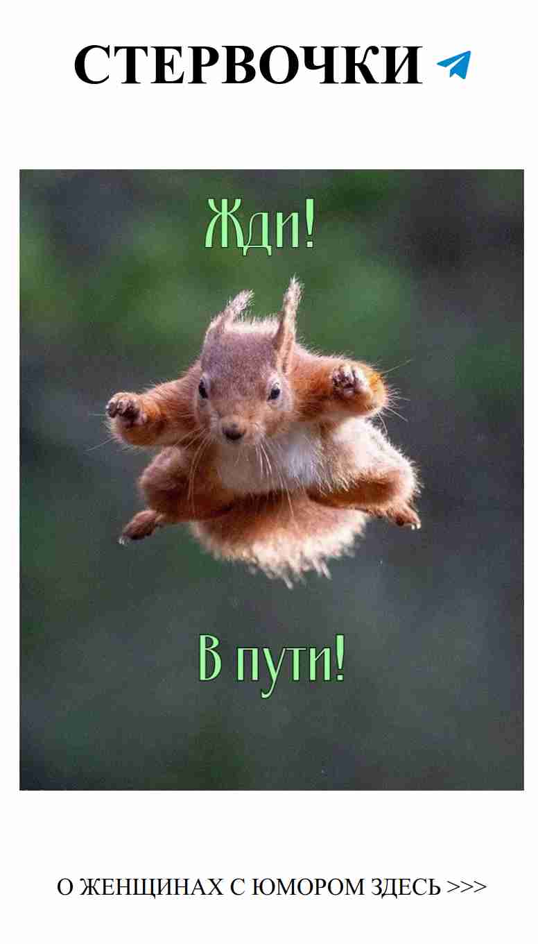 Любовь с юмором: смеемся вместе над нашими историями