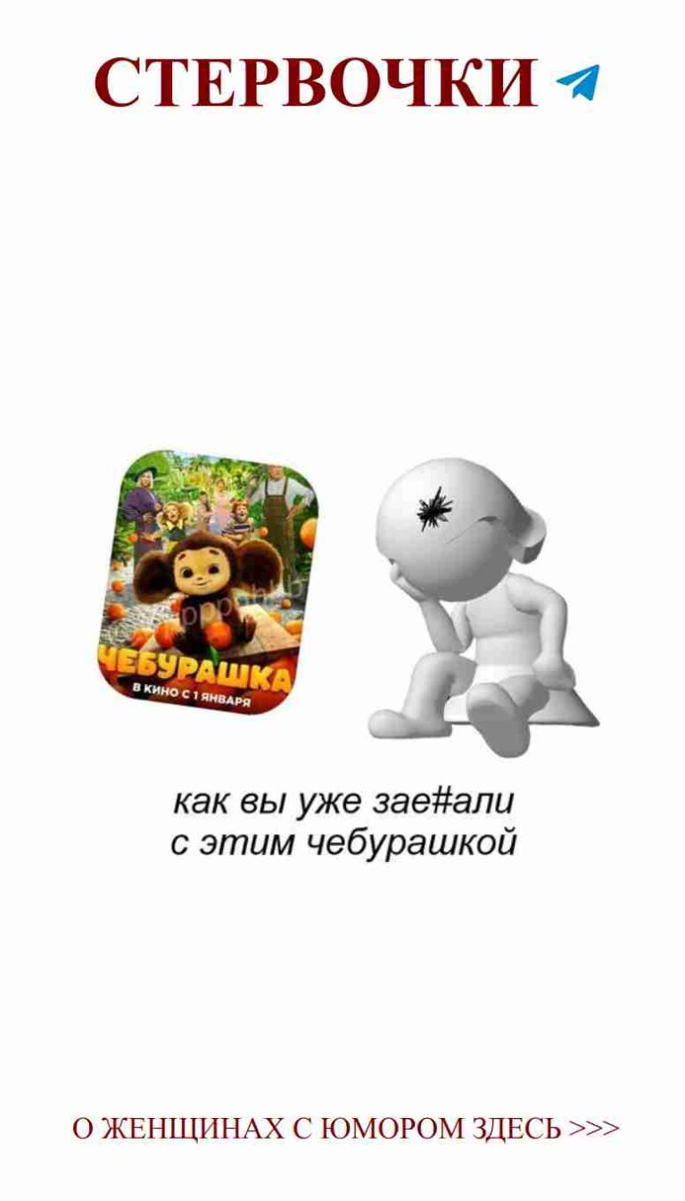 Когда твой медведь не такой милый, как ты думала