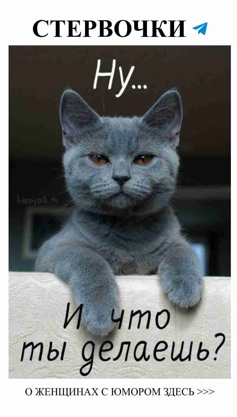 Любовь и юмор: смейся вместе с нами!