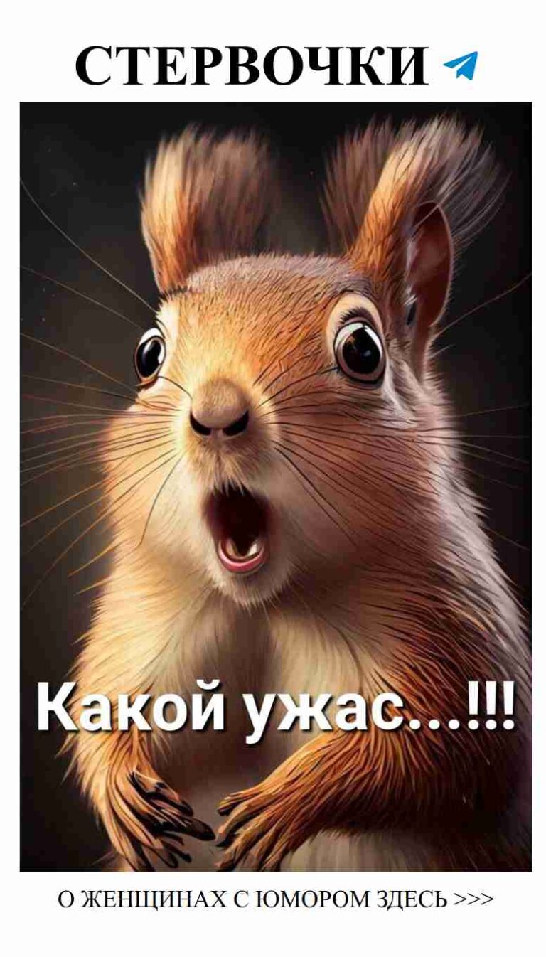 Когда любовь смешивается с юмором и белками