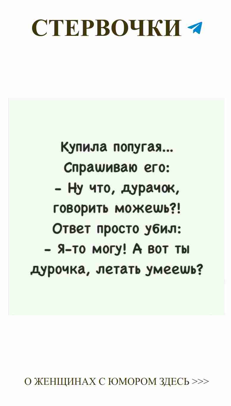 Смешные цитаты о любви для девушек без границ