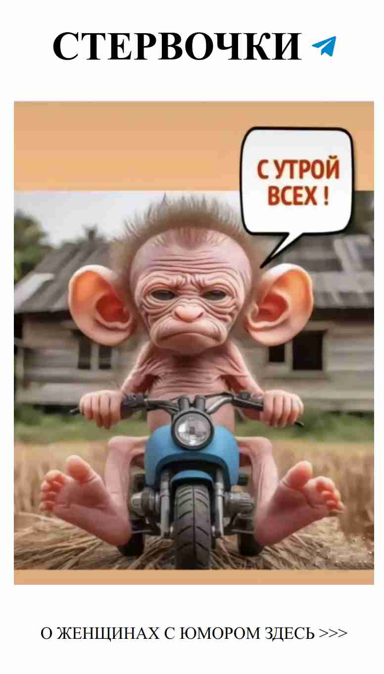 Когда любовь на мотоцикле: смешные приключения и эмоции