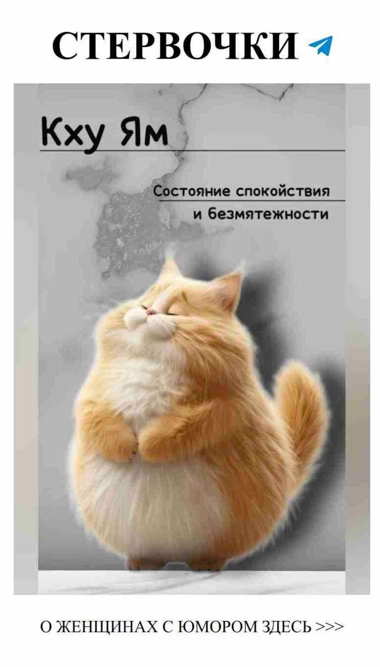 Кот, книги и улыбки: жизнь в позитиве и любви