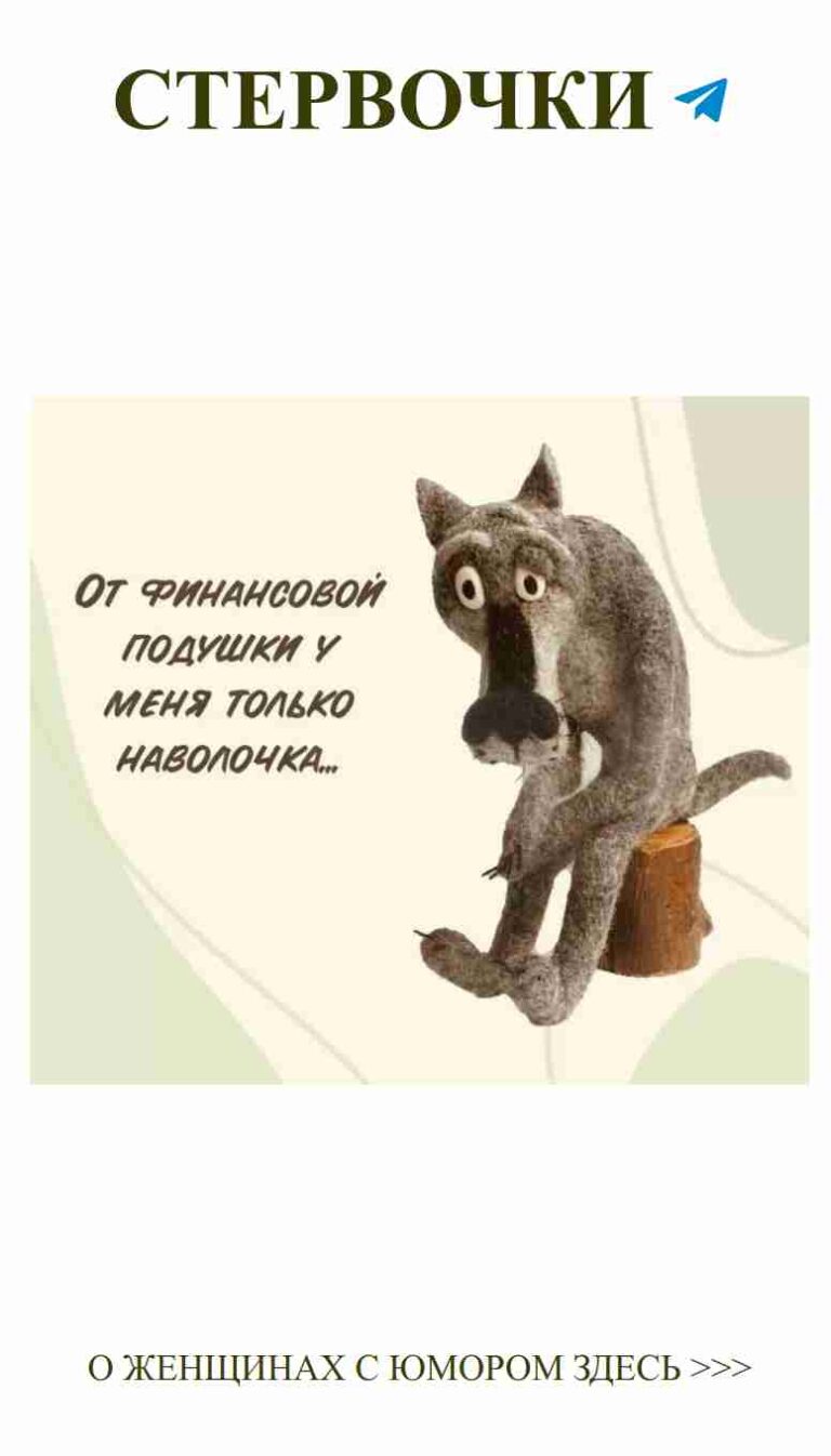 Кошка на пне: когда любовное вдохновение приходит неожиданно