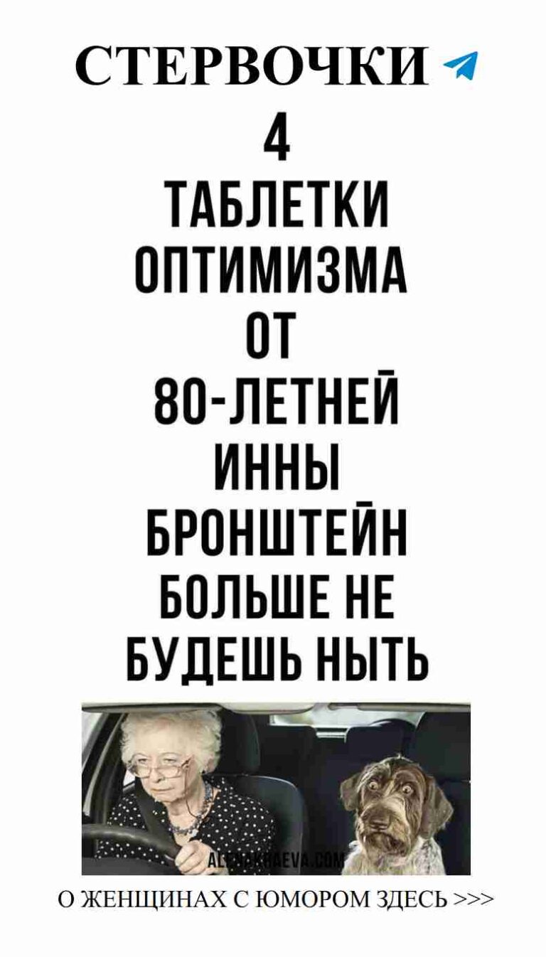 Собака, лучший друг: юмор о любви и дружбе